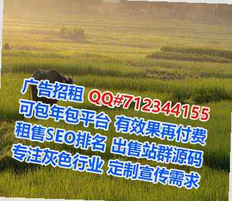 兰山代怀集成电路公司
